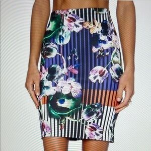 Clover Canyon Night matador Stripe, Floral Pencil Skirt Sz. S